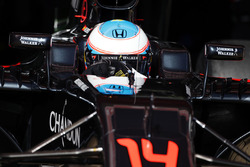 Fernando Alonso, McLaren MP4-31