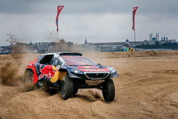 #104 Peugeot: Cyril Despres, David Castera