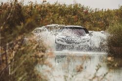 Stéphane Peterhansel, Jean Paul Cottret, Peugeot 3008 DKR