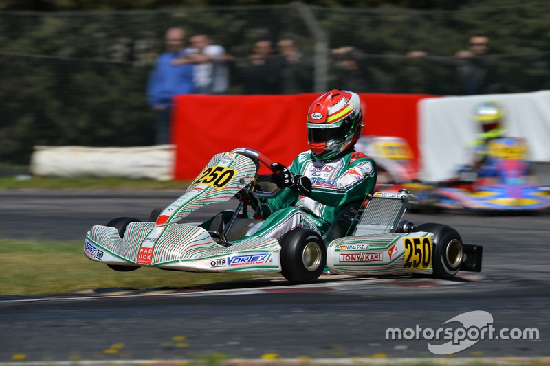 David Vidales, Tony Kart