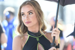 Grid girl