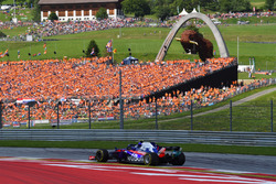 Pierre Gasly, Scuderia Toro Rosso STR13