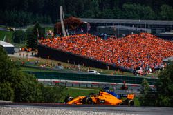 Stoffel Vandoorne, McLaren MCL33