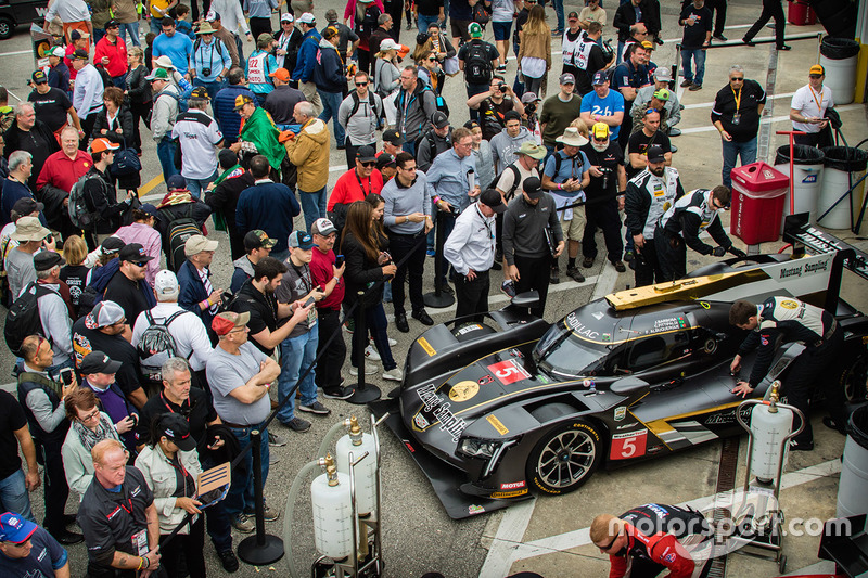 #5 Action Express Racing Cadillac DPi, P: Joao Barbosa, Christian Fittipaldi, Filipe Albuquerque