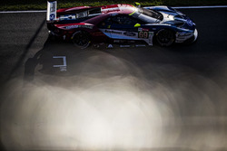#69 Ford Chip Ganassi Racing Ford GT: Ryan Briscoe, Richard Westbrook, Scott Dixon
