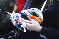 Fans of Fernando Alonso