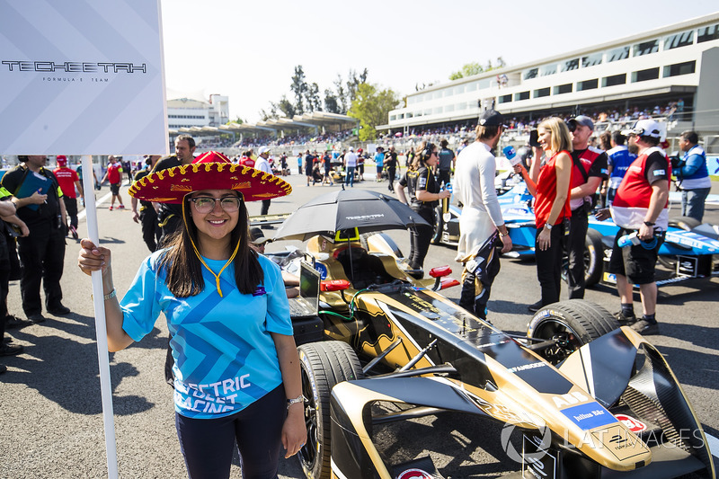 Grid girl