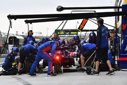 Пит-стоп: Брендон Хартли, Scuderia Toro Rosso STR13