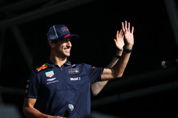Max Verstappen et Daniel Ricciardo, Red Bull Racing