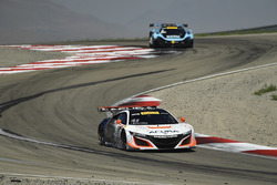 #43 RealTime Racing Acura NSX GT3: Ryan Eversley, Tom Dyer