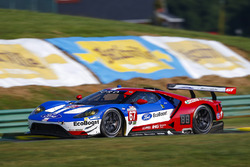 #67 Ford Performance Chip Ganassi Racing Ford GT: Ryan Briscoe, Richard Westbrook