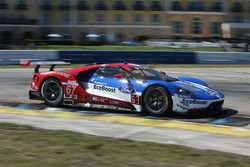 #67 Ford Performance Chip Ganassi Racing Ford GT: Ryan Briscoe, Richard Westbrook, Scott Dixon