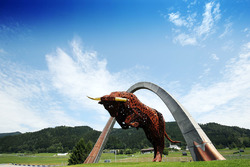 The Bull