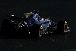 Marcus Ericsson, Sauber C36