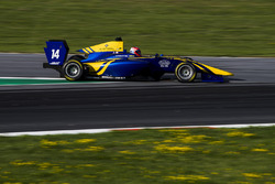 Santino Ferrucci, DAMS