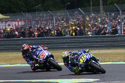 Valentino Rossi, Yamaha Factory Racing, Maverick Viñales, Yamaha Factory Racing