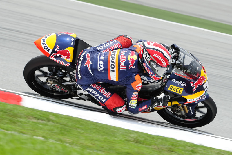 8. GP de Malasia 2010 - Sepang