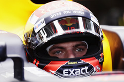 Max Verstappen, Red Bull Racing