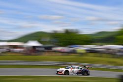 #43 RealTime Racing Acura NSX GT3: Ryan Eversley, Tom Dyer