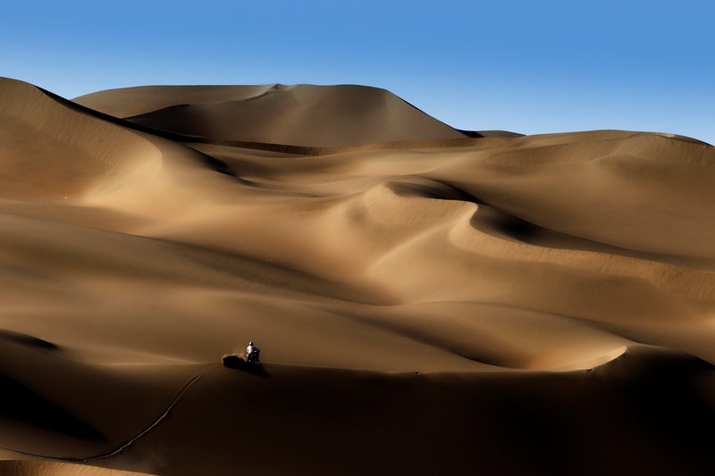 La foto ganadora de 2011 -FRANCOIS FLAMAND, DPPI