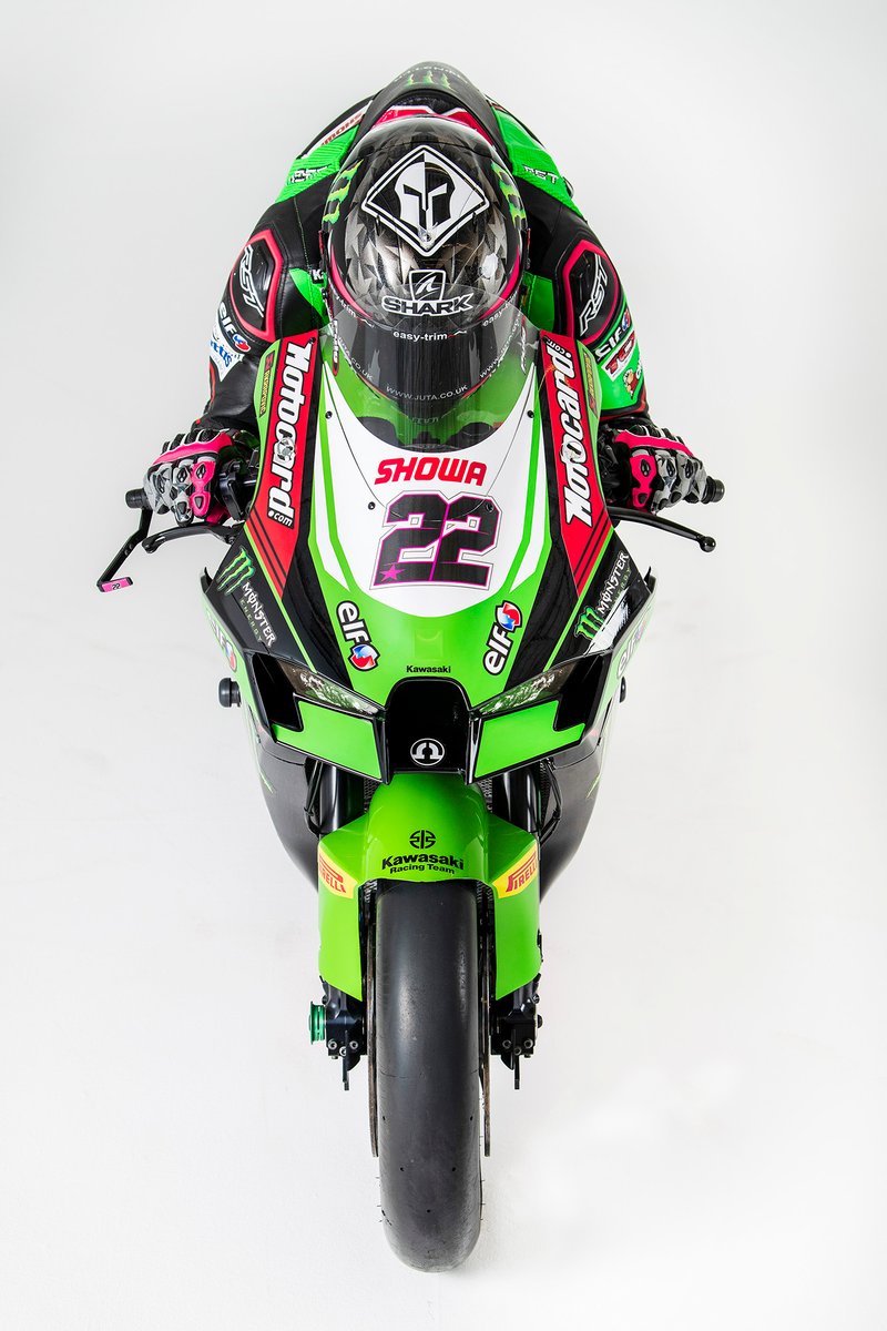 Alex Lowes, Kawasaki Racing Team WorldSBK