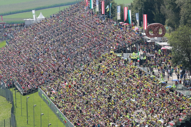 Tifosi