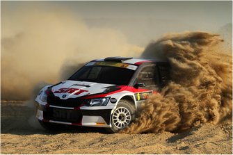 Nikolay Gryazin, Yaroslav Fedorov, Skoda Fabia R5