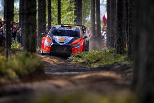 Thierry Neuville, Martijn Wydaeghe, Hyundai World Rally Team Hyundai i20 N Rally1