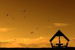 WRC Rally de Polonia - Shakedown y Día 1