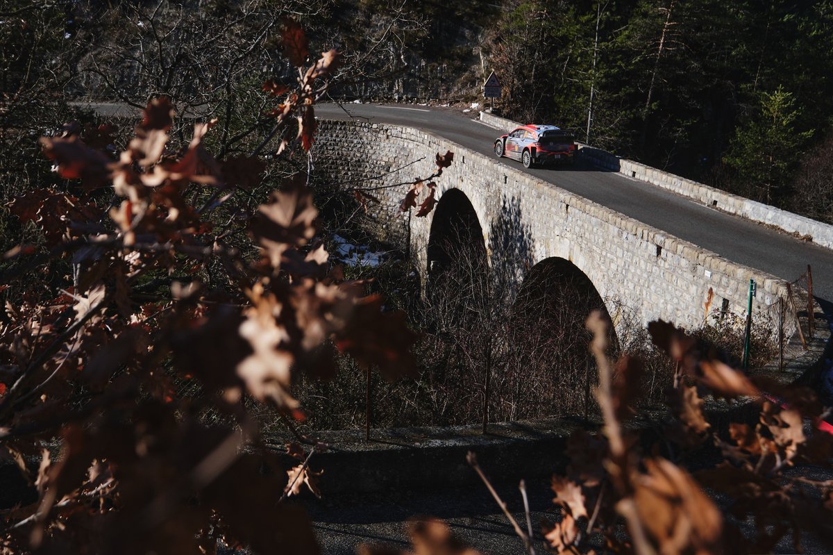 Thierry Neuville, Martijn Wydaeghe, Hyundai Motorsport Hyundai i20 Coupe WRC