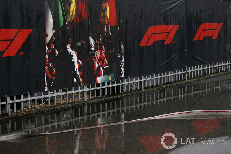 Wet Paddock