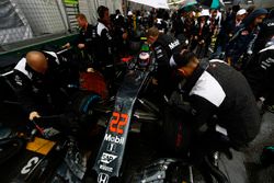 Jenson Button, McLaren MP4-31