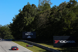 #48 Paul Miller Racing Lamborghini Huracan GT3: Madison Snow, Bryan Sellers, Bryce Miller