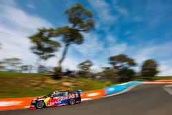 Shane van Gisbergen et Alexander Premat, Triple Eight Race Engineering Holden