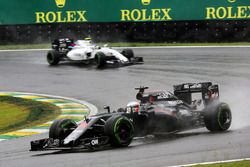 Fernando Alonso, McLaren MP4-31