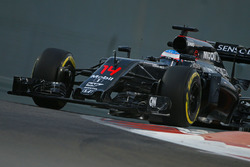 Fernando Alonso, McLaren F1