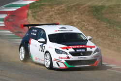 Andrea Farina, Peugeot 308 Racing Cup