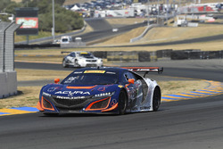 #93 RealTime Racing Acura NSX GT3: Peter Kox