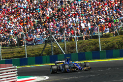 Pascal Wehrlein, Sauber C36