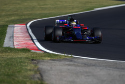 Шон Гелаэль, Scuderia Toro Rosso STR12