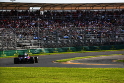 Carlos Sainz Jr., Scuderia Toro Rosso STR12