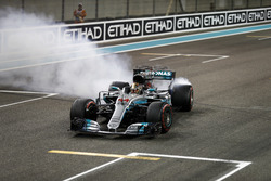 Doughnuts by Lewis Hamilton, Mercedes AMG F1 W08
