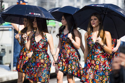 Des Grid Girls