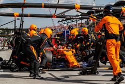 Stoffel Vandoorne, McLaren MCL33, pit stop