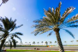 Stoffel Vandoorne, McLaren MCL32