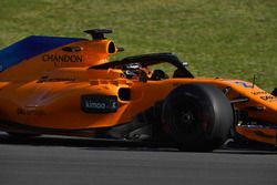 Стоффель Вандорн, McLaren MCL33