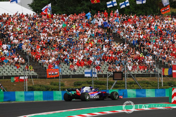 Pierre Gasly, Scuderia Toro Rosso STR13
