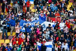 Steun voor Pierre Gasly, Toro Rosso