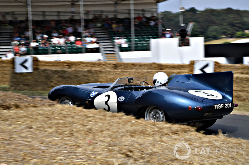 Quirina Louwmans Jaguar D-Type