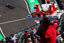 Brendon Hartley, Scuderia Toro Rosso STR12 e un venditore di bevande in tribuna